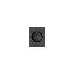 LUMINOR 1950 CERAMIC 8 DAYS CHRONO MONOPULSANTE GMT by Panerai