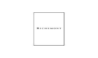 Richemont's Annual Report 2013