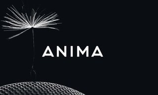 What to expect from Swedish start-up Anima?