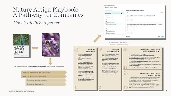 An example of the tools WJI 2030 is developing for its members to implement their ESG actions, the Nature Roadmap details the very step needed to advance and accelerate towards a responsible business model that respects, nurtures and protects nature. These tools will be made available for non-members in open source.